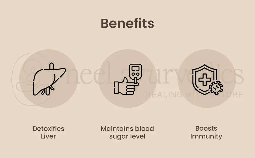 Neel Ayurvedics Kutki Powder Benefits