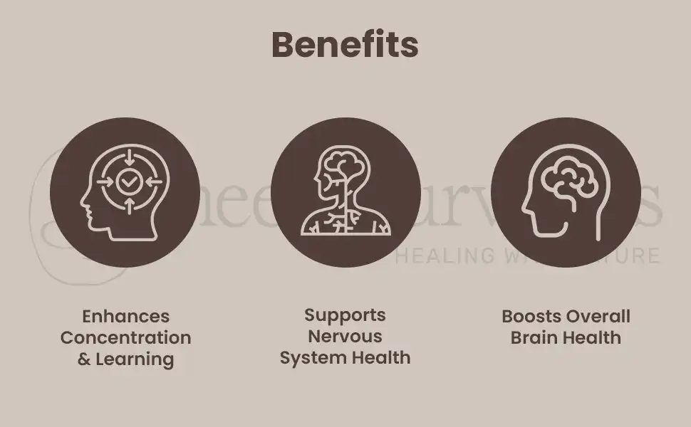 Neel Ayurvedics Shankhpushpi Churna