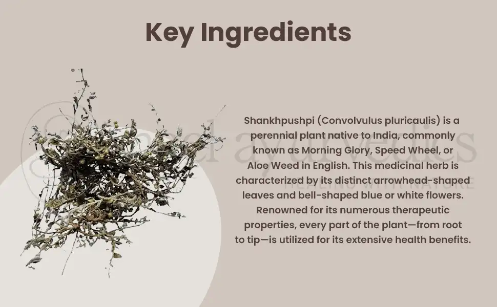 Neel Ayurvedics Shankhpushpi Churna