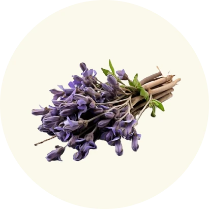Supplement Image