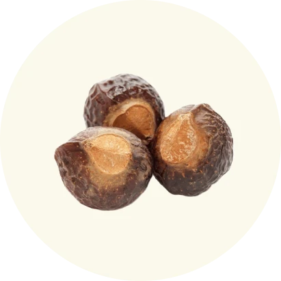 Supplement Image