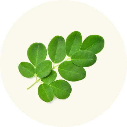 Supplement Image