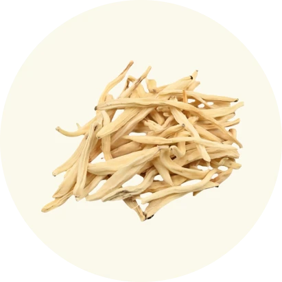 Supplement Image