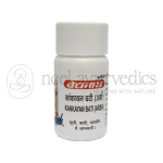 Baidyanath Kankayan Bati (Arsh) – 40 Tablets