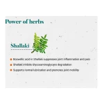 Himalaya Shallaki Tablet – 60 Tab