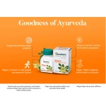 Himalaya Shigru Tablet – 60 Tab