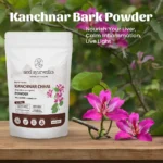 Kanchnar Chhal Powder