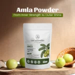 Amla Powder