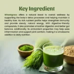 Wheatgrass Powder
