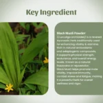 Black Musli Powder
