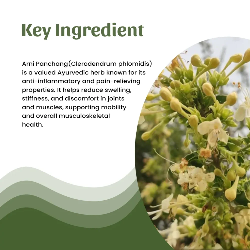 Arni Panchang Powder Ingredient