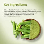 Moringa Drumstick Powder