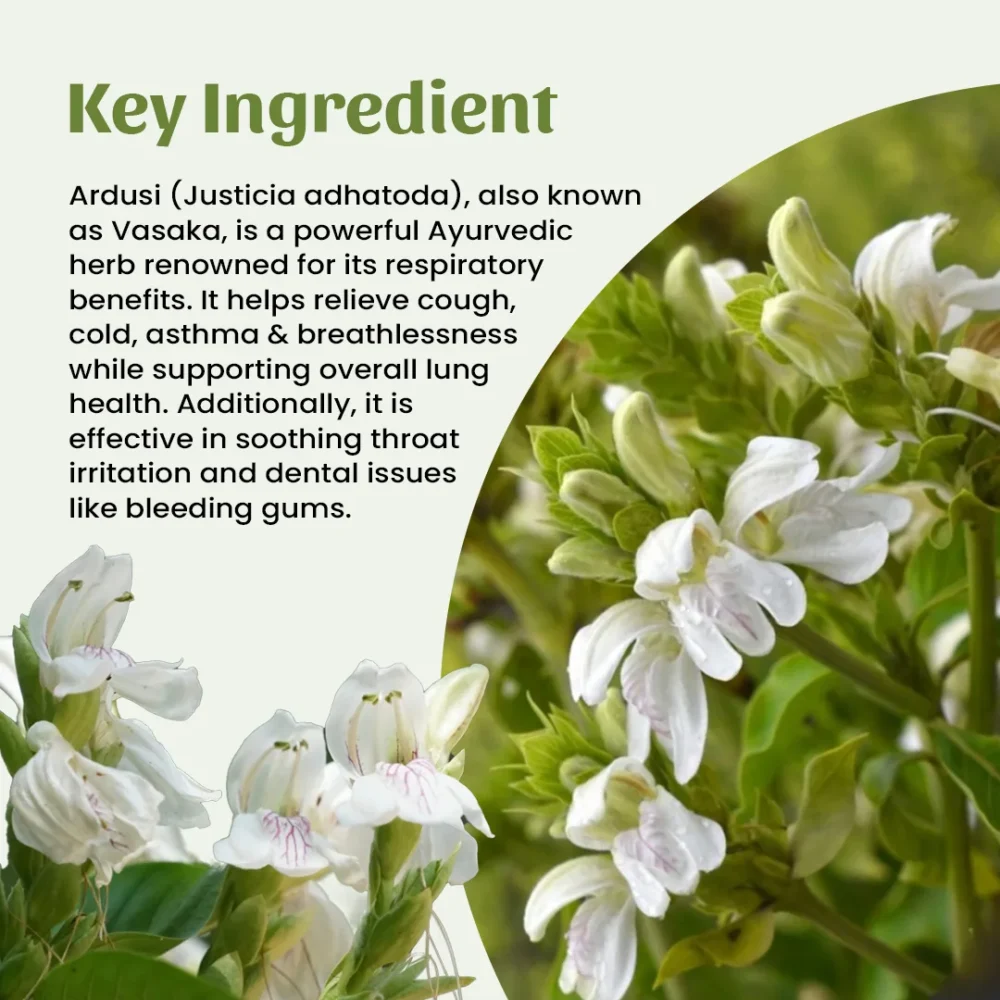 Ardusi Powder Ingredient