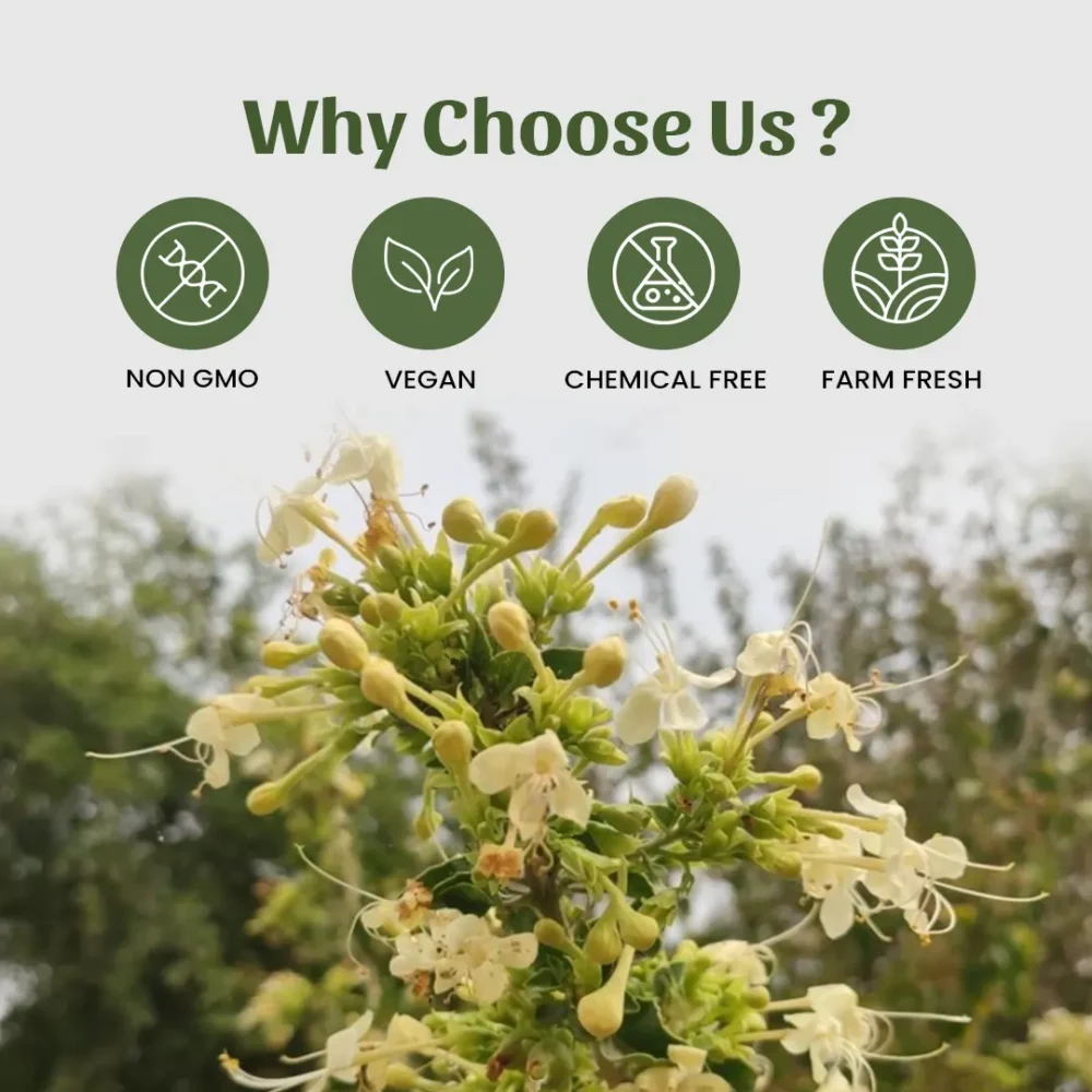 Arni Panchang Powder Why Choose Us?