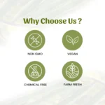 Moringa Drumstick Powder