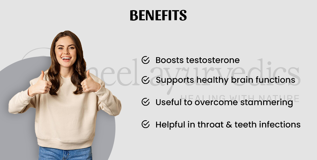 Akarkara Powder Benefits