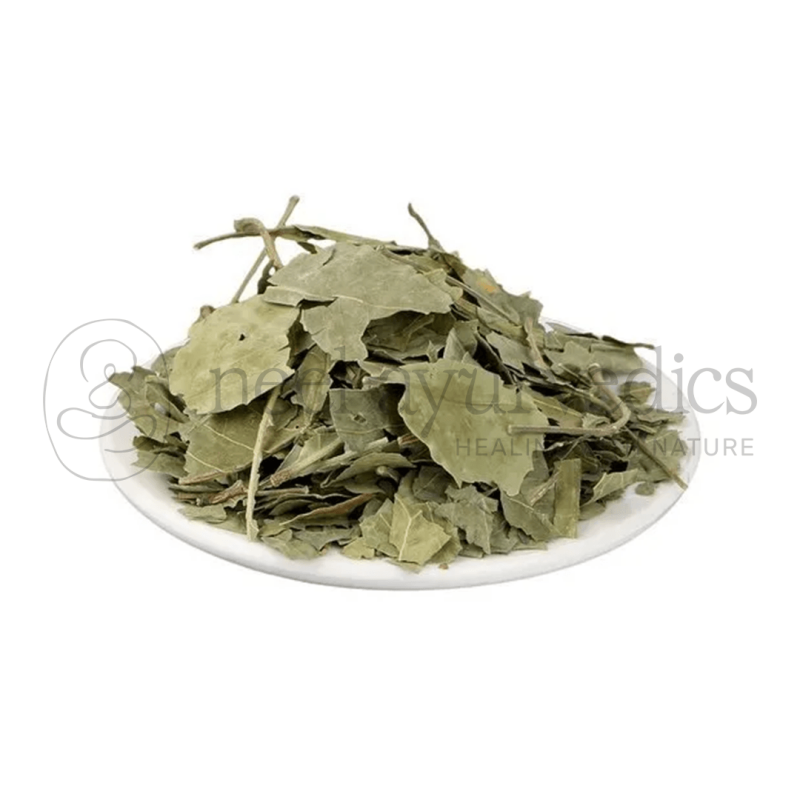 Neel Ayurvedics Bael Patta | Bel Patra | Bilwa Leaf | Bel Bael Leaves | Bel Patta | Bailpatr | Bail Patr | Aegle Marmelos