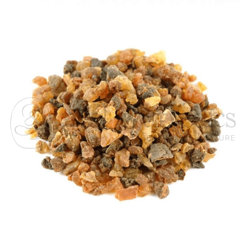 Neel Ayurvedics Hirabol | Hirabor | Myrrh | Commiphora | Bijabol | Murmukhi | Mur Makki \ Commiphora myrrha Nees