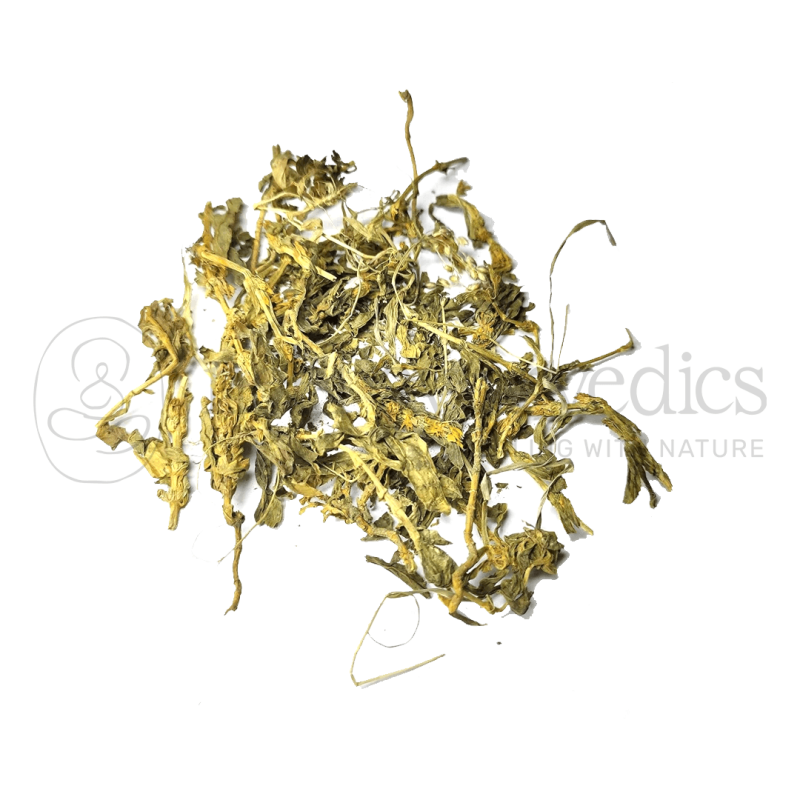 Neel Ayurvedics Mamejava | Katvinayi | Enicostemma littorale