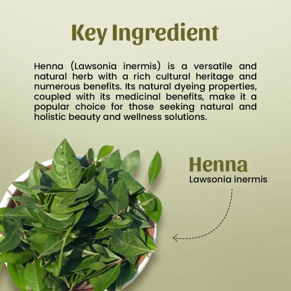 Neel Ayurvedics Henna Powder Key Ingredients