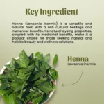 Neel Ayurvedics Henna Powder
