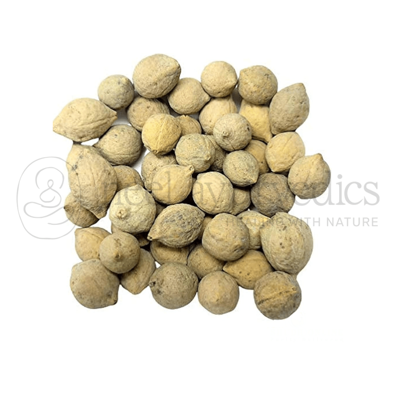 Neel Ayurvedics Putrajeevak Beej | Jiya Pota Seeds | Putra Jivak Beej | Putra Jeevak Beej