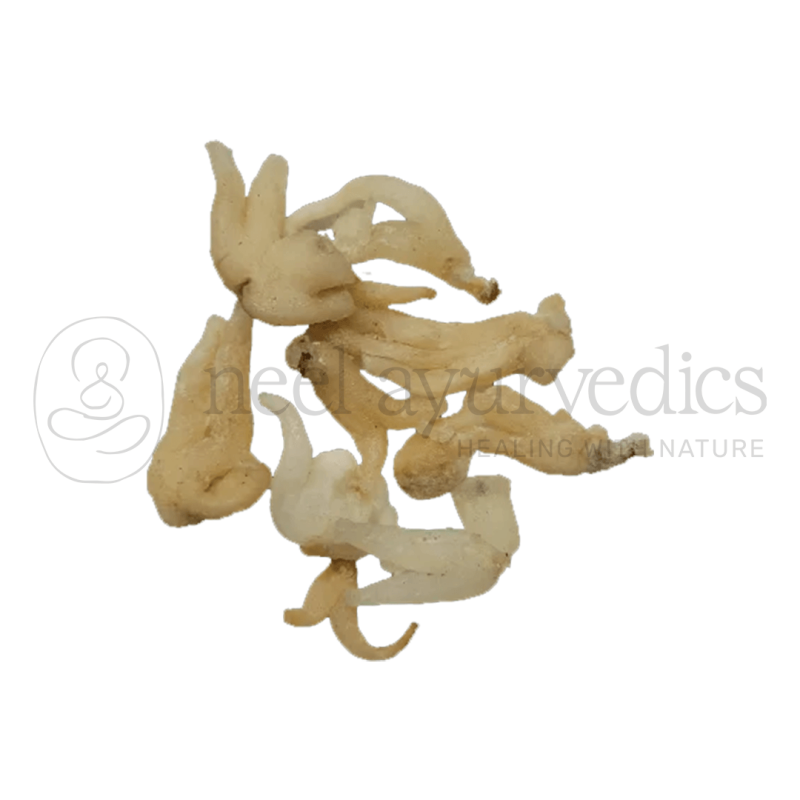 Neel Ayurvedics Salam Panjo | Salam Panja | Dactylorhiza hatagirea