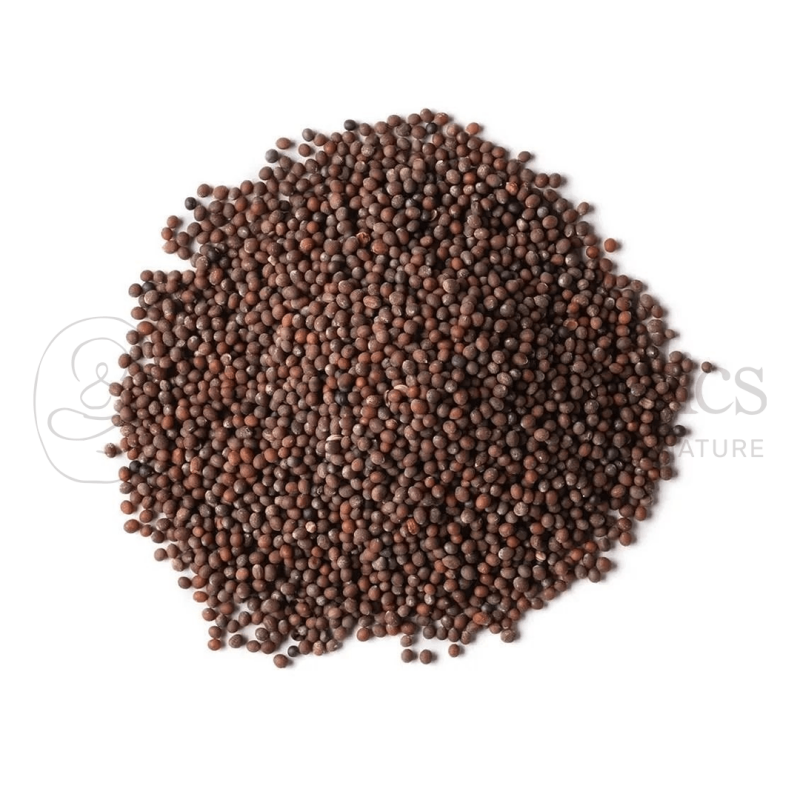 Neel Ayurvedics Sarsav Beej | Mustard Seeds | Sarso Beej | Rhamphospermum nigrum
