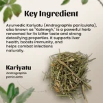 Neel Ayurvedics Kariyatu