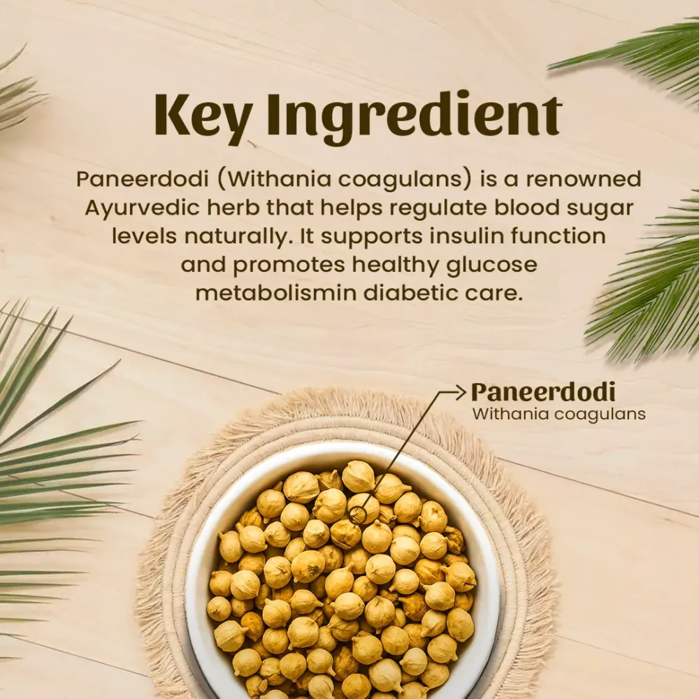 Key Ingredients
