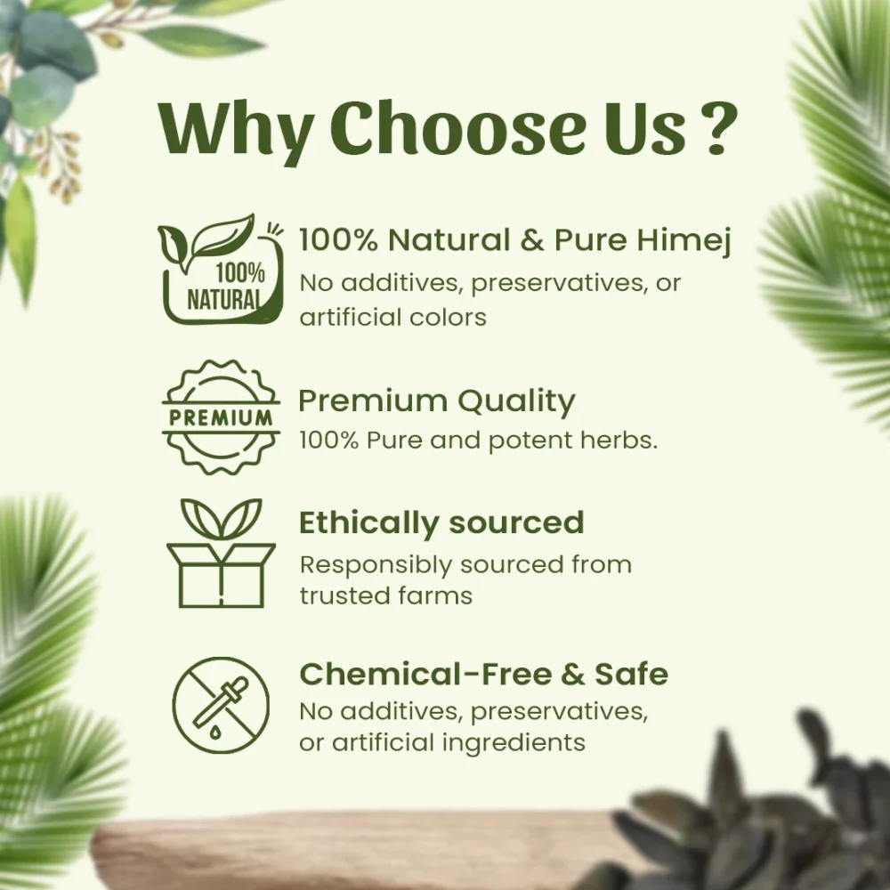 Why Choose Us?
