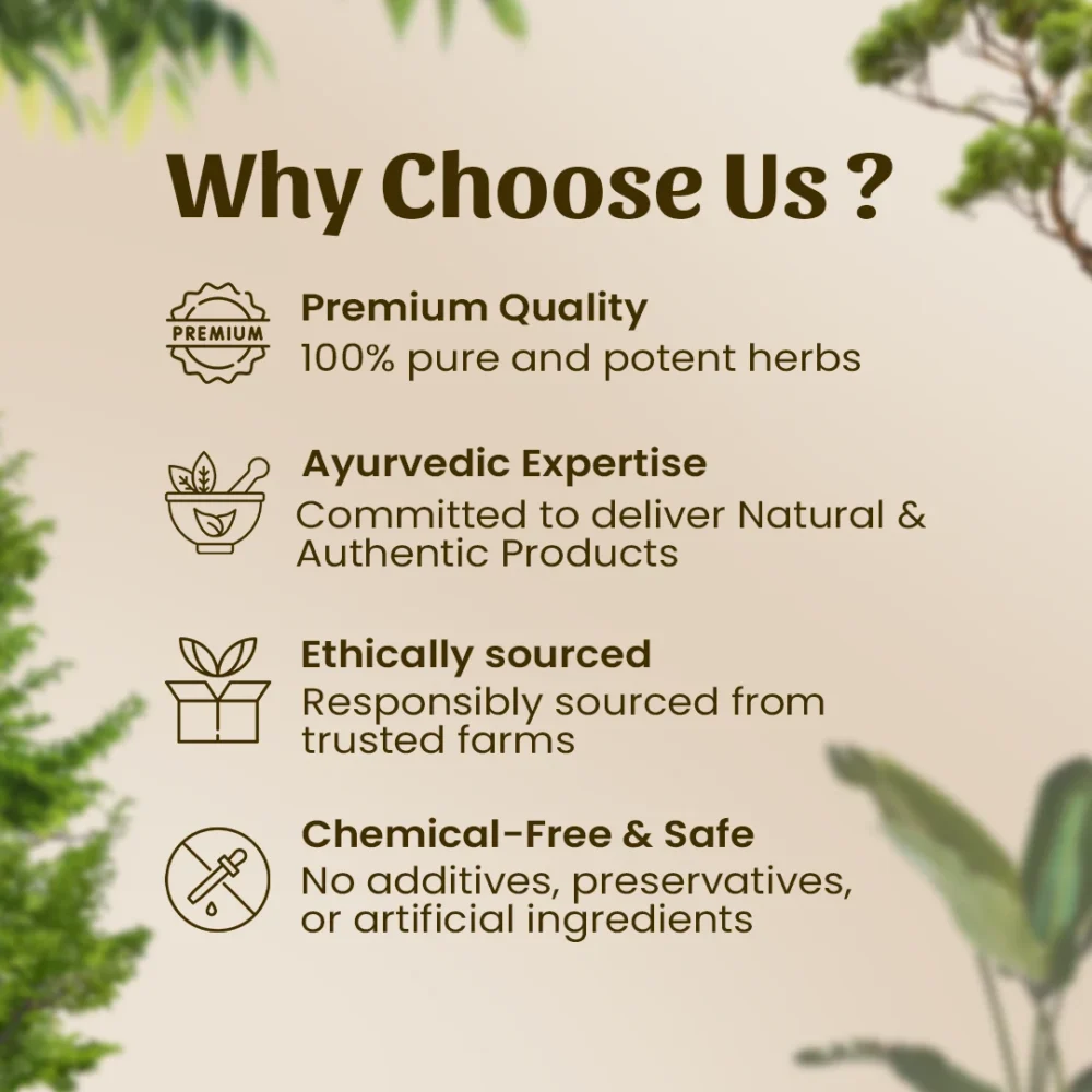 Why Choose Us?