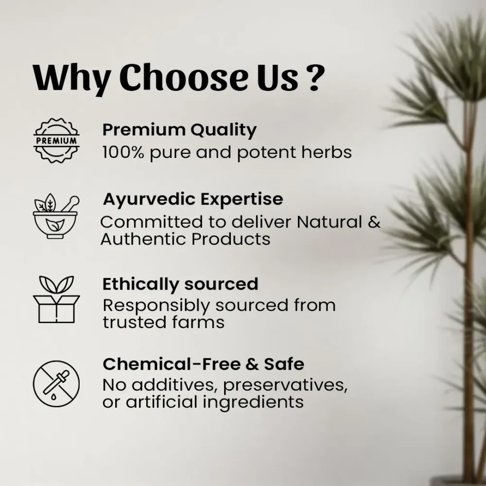 Why Choose us?