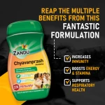Zandu Chyavanprash Avaleha – 900 Gm