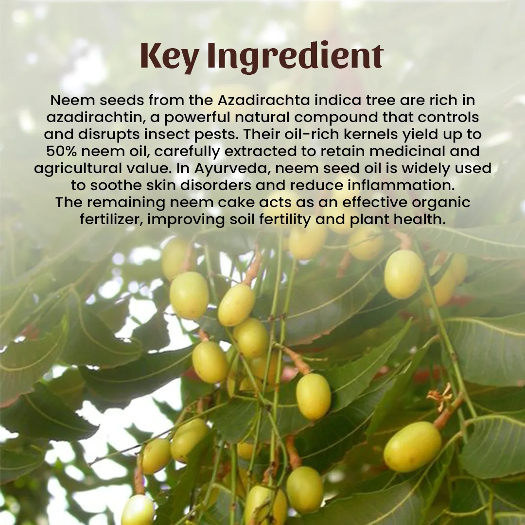 4 Neem Oil Ingredient