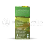 Organic India Tulsi Cinnamon Giloy
