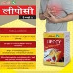 Abbasi Pharmacy Lipocy Tablet – 50 Tabs