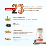 Maharishi Ayurveda Vigoroyal-M Tablet – 60 Tab