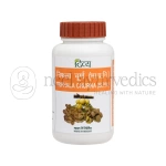 Patanjali Divya Triphala Churna