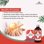 Charak Livomyn Syrup – 200 ml