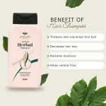Ambani Herbal Shampoo – 200 ml