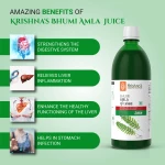 Bhumi Amla Juice