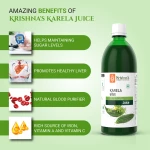 Karela Juice