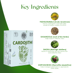 AVP Cardojith Tablets – 100 Tab