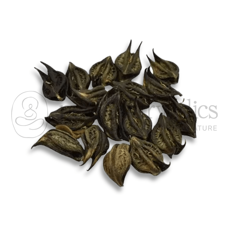 Pitpapra Seeds