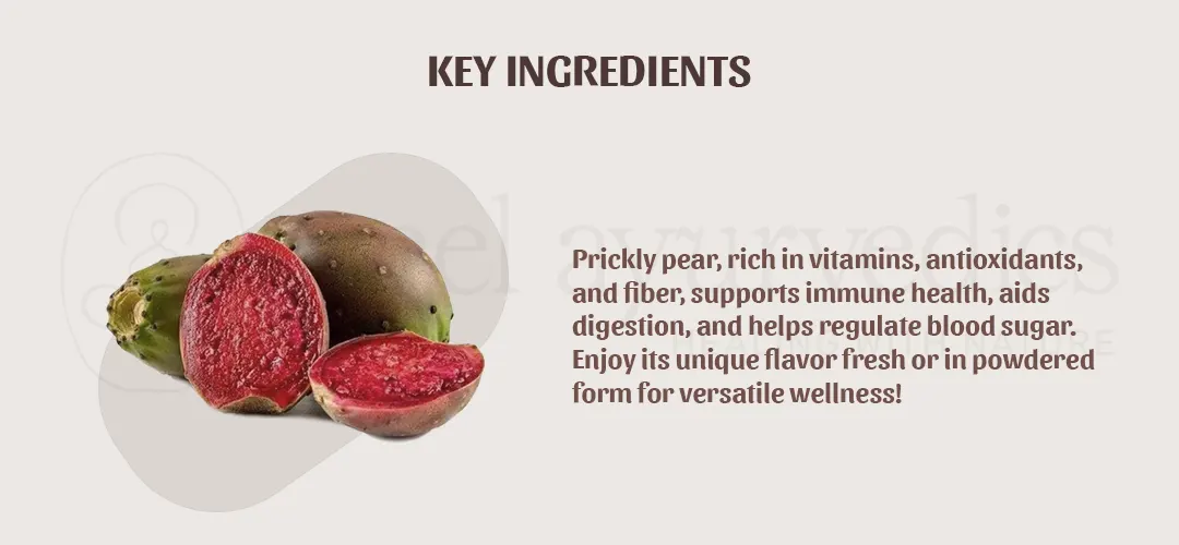 Neel Ayurvedics Prickly Pear Powder Key Ingredients