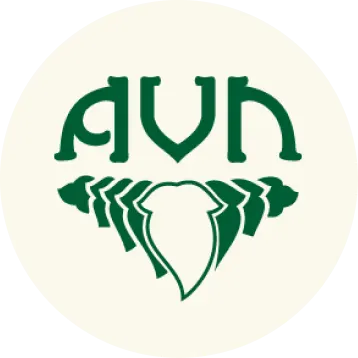 Featured Brands 14 AVN Ayurveda
