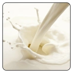 Lait de chèvre