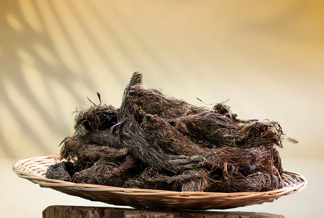 Discover the Magic of Neel Ayurvedics Jatamansi: The Herb That Calms the Mind and Heals the Body 1 Neel Ayurvedics Jatamansi