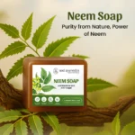 Neel Ayurvedics Neem Soap